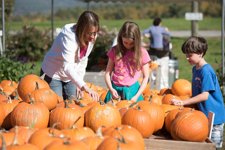 Apex Orchard Apex Orchards